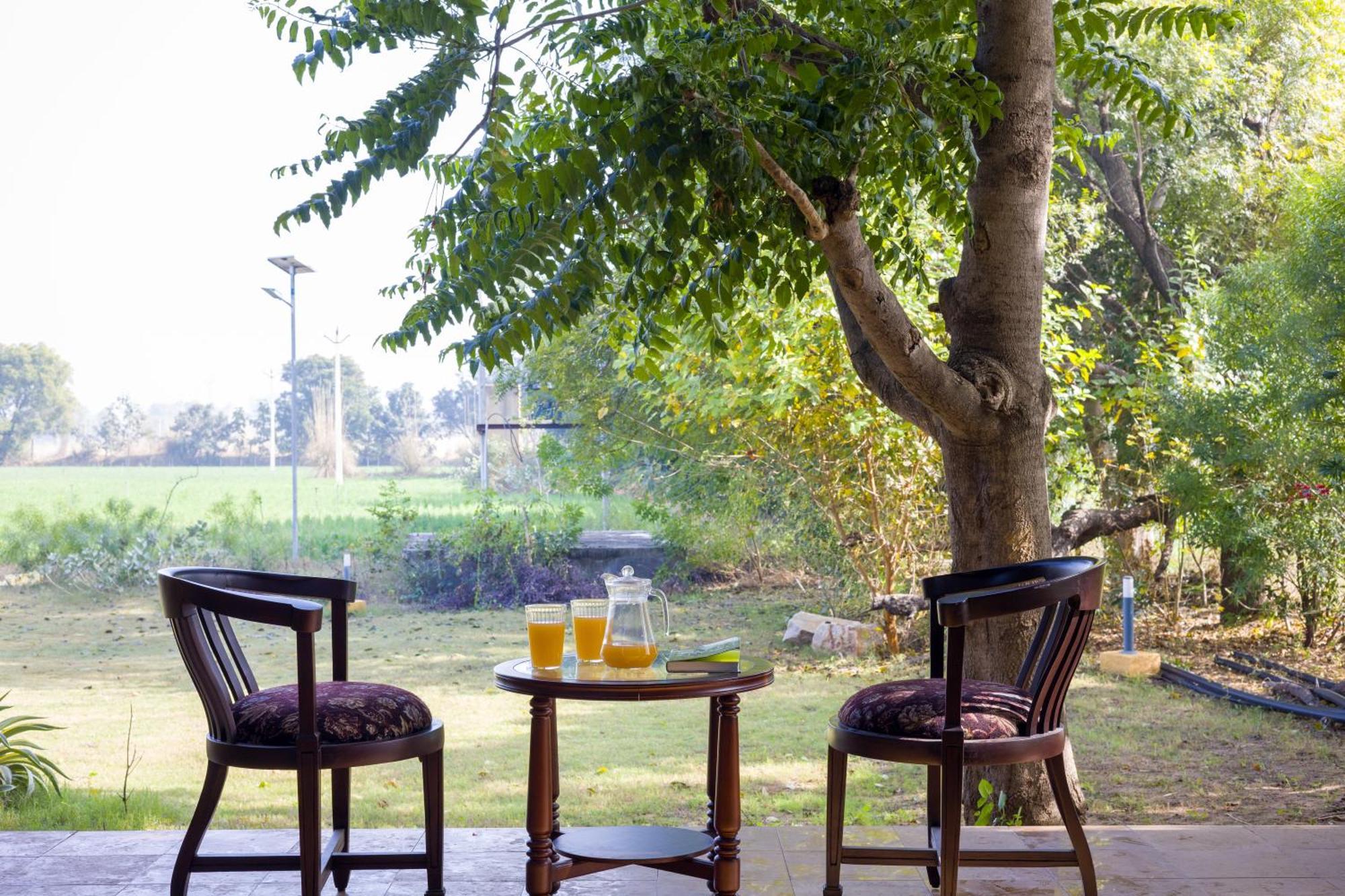 Elivaas Hari Bagh 4 Bhk Villa With Gaming Zone & Art Nook Jaipur Bagian luar foto